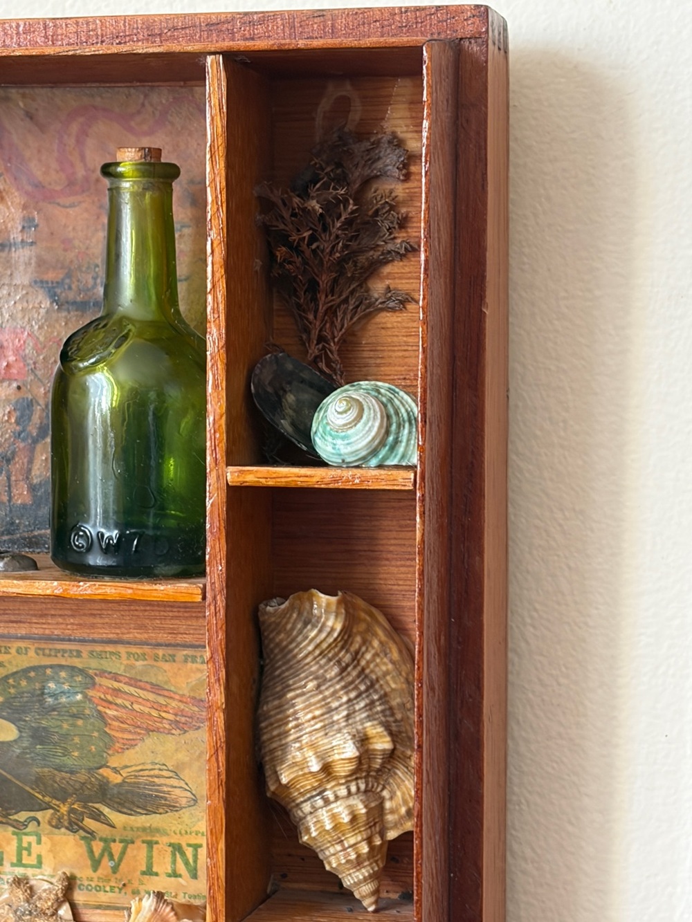 Vintage Wood Curio 3D Seashell Art Nautical Wall Decor Antique Beach House - Picture 8 of 12